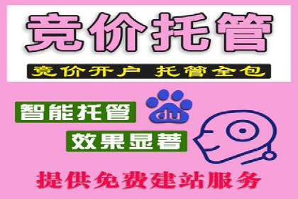 百度SEO推广公司案例解析：揭秘关键词优化技巧
